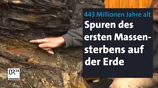 Erstes Massensterben der Erde 443 Millionen Jahre alte Spuren in Bayern entdeckt  BR24 [upl. by Allesor]