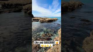 STUNNING AUSTRALIA naturelovers youtubeshorts art australia nature [upl. by Nolahc]