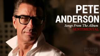 Pete Anderson Pits Andersons I Forgot To Remember To Forget Official audio [upl. by Atenik]