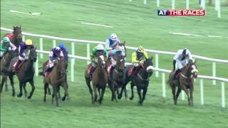 Leopardstown highlights 28th December 2015 [upl. by Ystap]