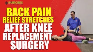 Back Pain Relief Stretches After Knee Replacement Surgery [upl. by Rubie]