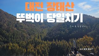 가을 핫플레이스 대전 장태산 뚜벅이 대중교통으로 당일치기 다녀오기 [upl. by Un]