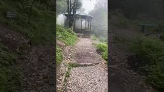 Dhanaulti eco Park￼viralshort travel tranding ytshorts [upl. by Riplex]