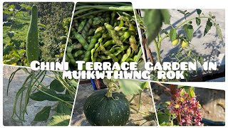 Chini Terrace Garden ni Muikwthwng vlog our terrace garden veggies vlog dance vlog kokboroksong [upl. by Urbano]