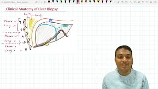 Clinical Anatomy of Liver Biopsy [upl. by Airec340]