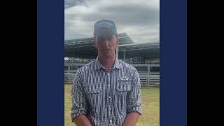 Ballarat Sheep Market Report Video 5112024 [upl. by Lebatsirc245]