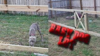 How to Make a Wooden Dog Lot [upl. by Harlamert796]