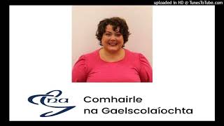 Comhairle na Gaelscolaíochta agus Gluaiseacht na Gaelscoileanna ó thuaidh  Near FM 2023 [upl. by Aleekat286]