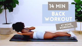 14 MINUTE BACK WORKOUT FOR STRONGER BACK  BETTER POSTURE  NO EQUIPMENT  BEGINNER  INTERMEDIATE [upl. by Ynna]