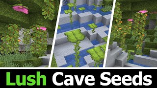 Top 10 Lush Cave Seeds for Minecraft 120 [upl. by Sergo]