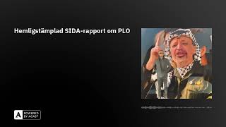 Hemligstämplad SIDArapport om PLO [upl. by Aicinad869]