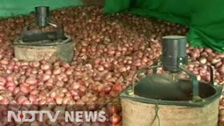 How to store onion without storehouses Teen finds a way out [upl. by Nwavahs]