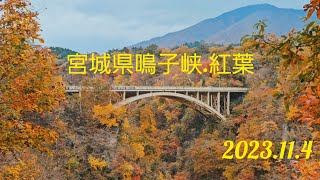 宮城県 紅葉 鳴子峡 滝 2023114 [upl. by Lewap807]