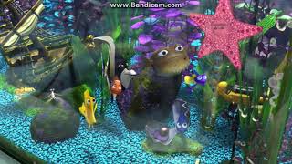 Finding Nemo Nigel Tells Nemo DVDRIP [upl. by Bechler]