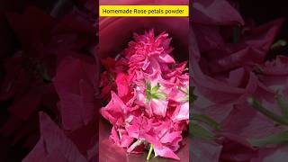 Homemade Rose petals powder calmdown homemade rosepowder naturalroseshorts music [upl. by Peadar]