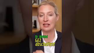 Weidel GEZGebühren abschaffen [upl. by Lough]