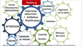 Neuropsychologie et troubles des apprentissages chez lenfant [upl. by Suciram]