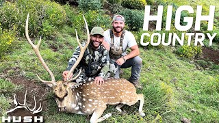 HUNTING HIGH COUNTRY AXIS DEER WITH CHAD MENDES  OFF AXIS S2E2 [upl. by Elatan]