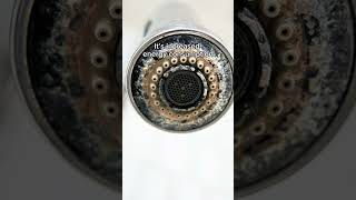 Prevent and Remove Limescale  Halcyan Water Conditioners [upl. by Ymmas]