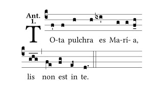 Tota Pulchra es Maria Antiphon  Gregorian Chant [upl. by Ttej]