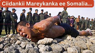 MUXUU MAREYKANKA UGA AARSA WAAYE SOMALİA 1993Dİİ [upl. by Hanako847]