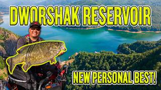 Dworshak Reservoir Has GIANT Smallmouth and They Eat quotBigquot Swimbaits [upl. by Divadnoj708]