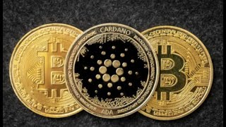 Cardano Live [upl. by Notseh963]