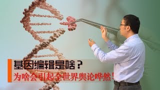 基因编辑是啥？CRISPRcas9技术如何修改DNA？李永乐老师讲基因工程（1） [upl. by Anaidni]