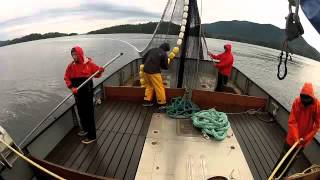 Salmon Seining in Sitka Ak GOPRO [upl. by Ahseekan]