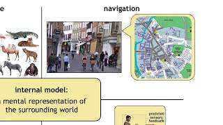 Dr Máté Lengyel  Bayesian models of perception cognition and learning  CCCN 2017 [upl. by Dweck537]