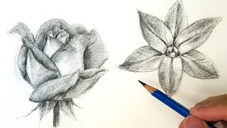 Drawing and Shading Flower [upl. by Lithea333]