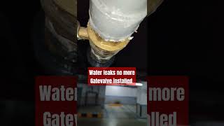 How to stop leaking without turned off main valve despacito ballvalves gatevalve reinstall [upl. by Refeinnej]