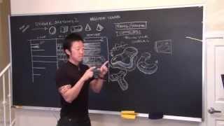 CGMA  Dynamic Sketching 2 with Peter Han [upl. by Mcnelly]