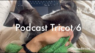 vendreditricot  Podcast tricot 6  Petit à petit loiseau fait son nid [upl. by Ayerdna135]