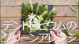 デンドロビウムのグリーンアレンジ【作り方動画】Green arrangement of dendrobium How to make video [upl. by September]