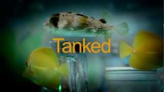 TANKED New Episodes Friday at 9PM EP [upl. by Columbus]