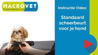 Video Instructie Standaard Scheerbeurt voor je hond [upl. by Tihor]