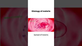 Etiology of malaria medicomedical gnm bscnursing mbbs bams medicalstudent [upl. by Fransisco96]