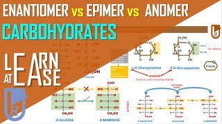 Enantiomer vs Epimer vs Anomer Carbohydrates [upl. by Ennaxxor]