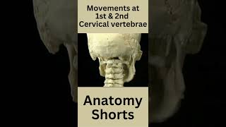 Atlanto occipital joint amp Atlanto axial joint anatomy mbbs neet osteology bds bpt shorts [upl. by Constancy]