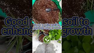 Good potting soil to enhance crop growth shortvideo garden garden youtubeshorts soil viral [upl. by Nahgrom]