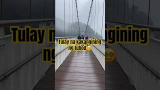 Taiping Suspension Bridge taiwantrending shorts viralvideo youtubeshorts [upl. by Fernand]