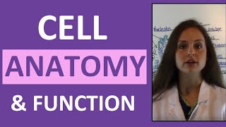 Cell Anatomy amp Physiology Cell Structure and Function Overview for Students [upl. by Melc]