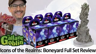 Boneyard Minis Full Set Review  WizKids DampD Icons of the Realms [upl. by Salinas]