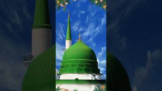 Jab koi gam sataye to madina yaad kar lenaurdushortvideoviralvideo [upl. by Adnorhs]