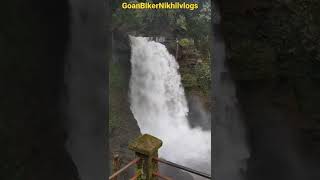 Harvalem waterfall in Goa shortvideo youtubeshorts for vlog subscribe Goan Biker Nikhil vlogs [upl. by Hilleary192]