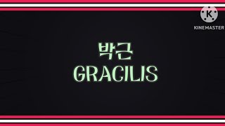 박근 두덩정강근의 길  WAY OF GRACILIS [upl. by Eener]