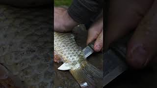 Fisch traditionell am Feuer zubereiten🔥 bushcraft [upl. by Mickie]