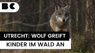 Niederlande Kleines Mädchen wird vom Wolf angefallen Utrecht [upl. by Halliday]