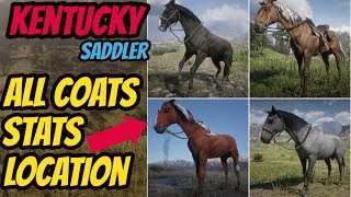 Red Dead Redemption 2 Kentucky Saddler LOCATION amp ALL COATS amp STATS GOOD HORSE GUIDE [upl. by Terencio]